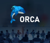 Training and Fine-Tuning Orca: Step-by-Step Process